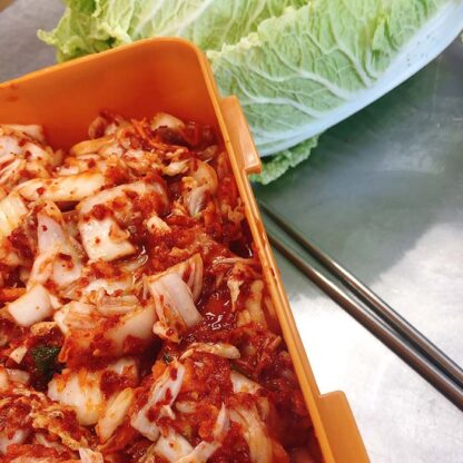 A kimchi fermentation box filled with fermenting kimchi, displayed on a stainless steel counter with metal chopsticks and a head of napa cabbage